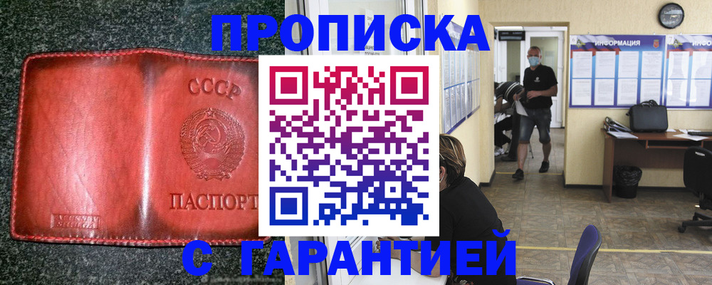 прописка гарантия в Нижнекамске